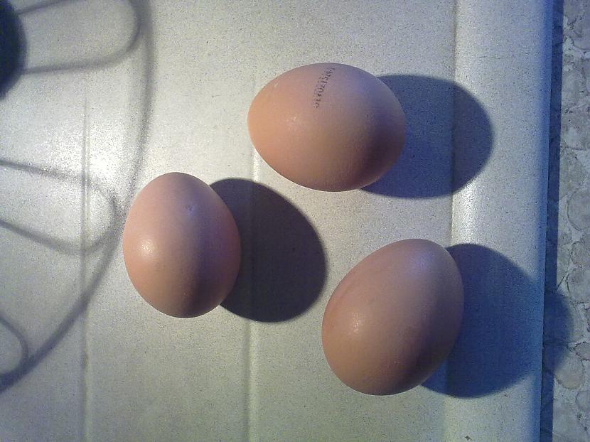 Paņemam 3 olas Autors: edjix Kā uzcept plānās pankūkas?