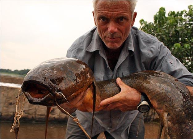 African Lungfish Pēc skata nav... Autors: becele Briesmīgākās upju zivis!
