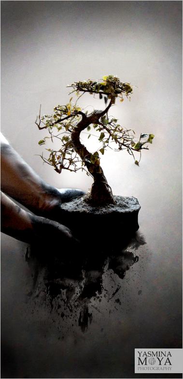Concentrate on how good if... Autors: zaigucisz Alive, Free and still...