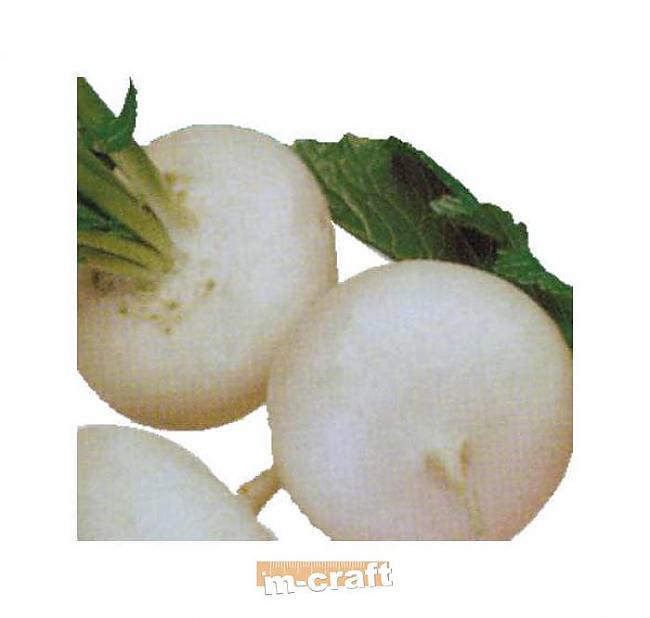 Neķītrais rācenis! Spoki