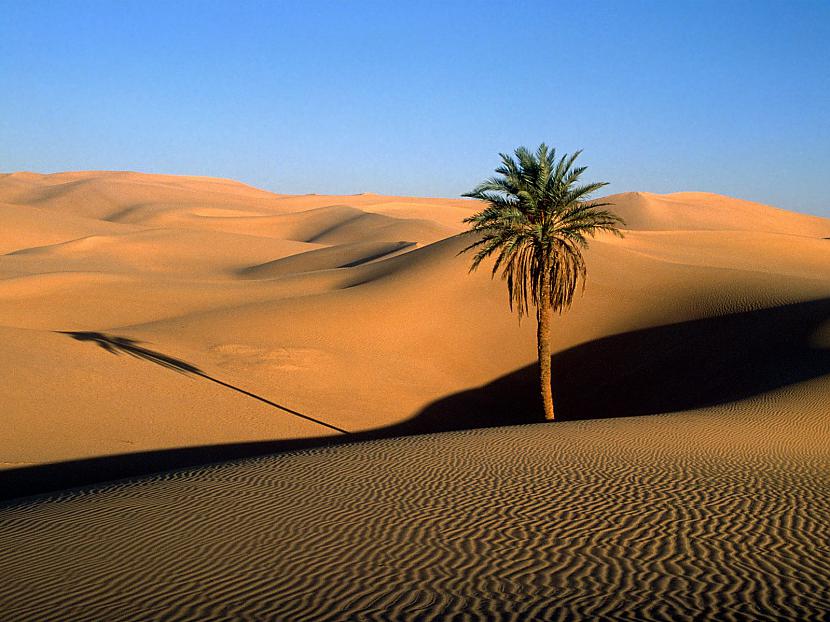 Pasaulē lielākais tuksnesis ir... Autors: filips811 Neparasti fakti 2. daļa - Zeme