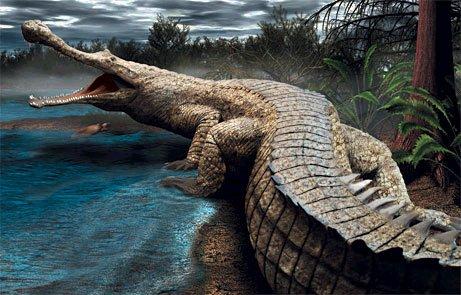 Sarcosuchus imperator Autors: PankyBoy Superkrokodili.