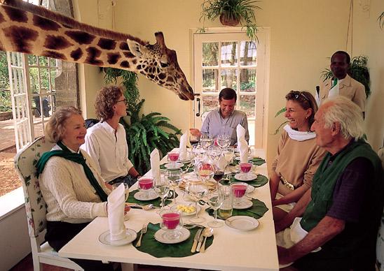 1 vieta quotThe Giraffe... Autors: bellija Top 10 orģinālākās viesnīcas