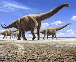 Lielākais dinozaura skelets... Autors: Durrrr van der Kurrr Nedzirdēti fakti [2.daļa.]