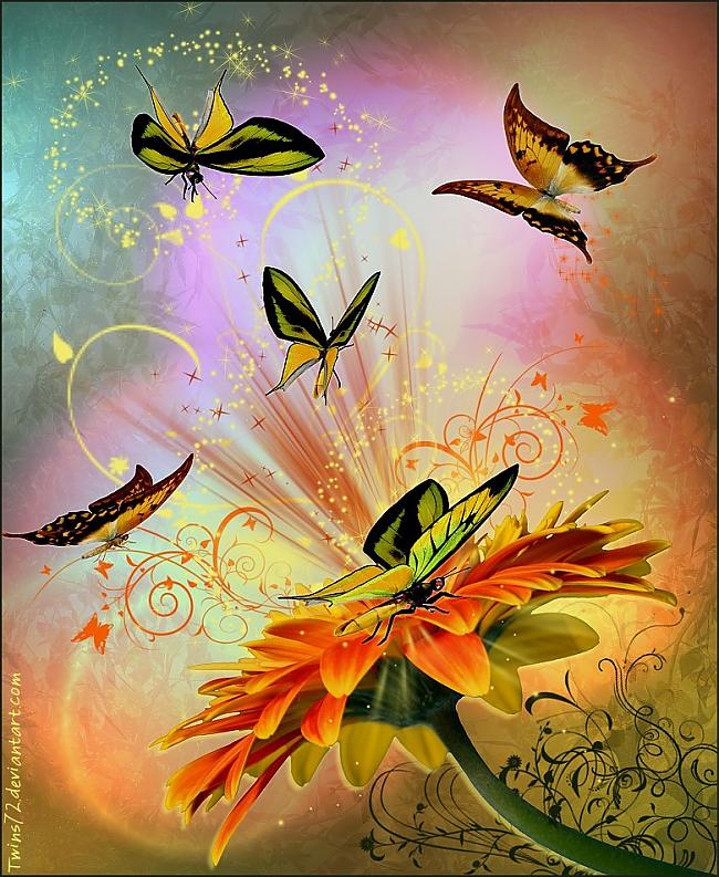 There are no miracles for... Autors: zaigucisz Miracles and magic