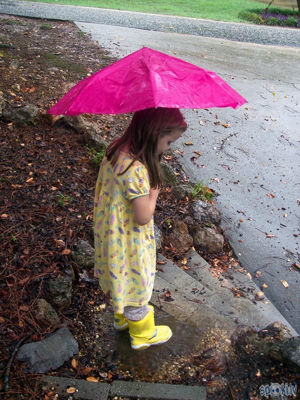  Autors: Hailie and again it is raining outside