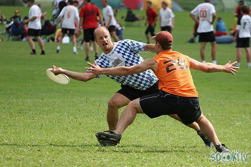  Autors: belka Ultimate Frisbee