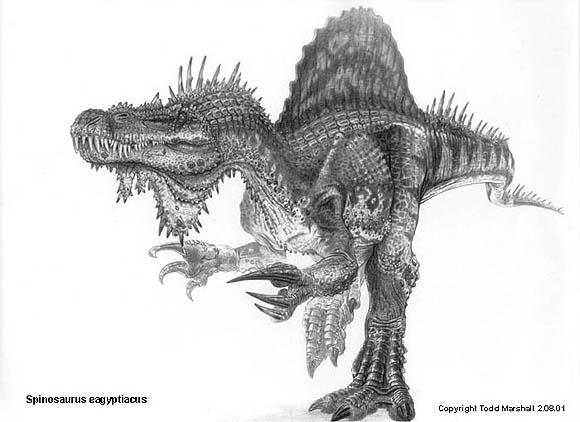 Spinosaurus aegyptiacus ir... Autors: Fosilija Daži krutākie reptiļi kādi eksistējuši.