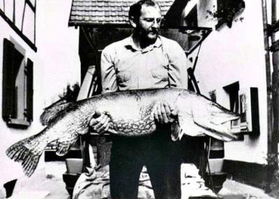 1986gad lielākā upes līdaka 26... Autors: Optimists NaCl Fenomenāli zivju izmēri ....