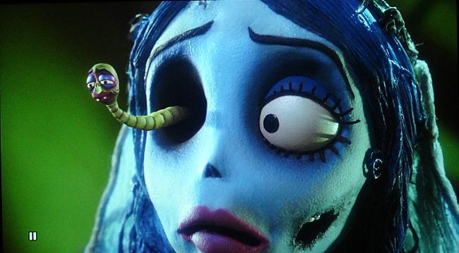  Autors: Fosilija ♥Corpse Bride ♥