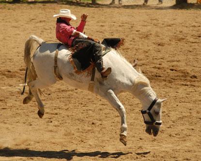 5 vieta  Rodeo Nav īpaši... Autors: Tavs Sencis Top 10 bīstamākie sporta veidi uz pasaules