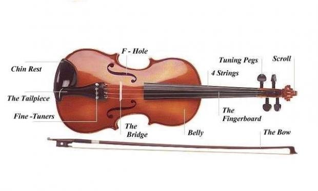 Vijole ir veidota no aptuveni... Autors: nauruha FAKtiņi