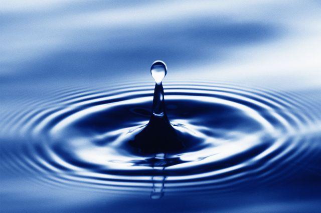  Autors: Fosilija Health - We are water