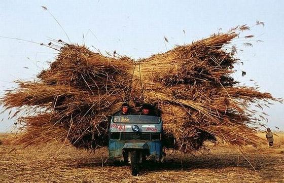  Autors: kapars118 Ko tik nevar ieraudzīt uz ceļiem