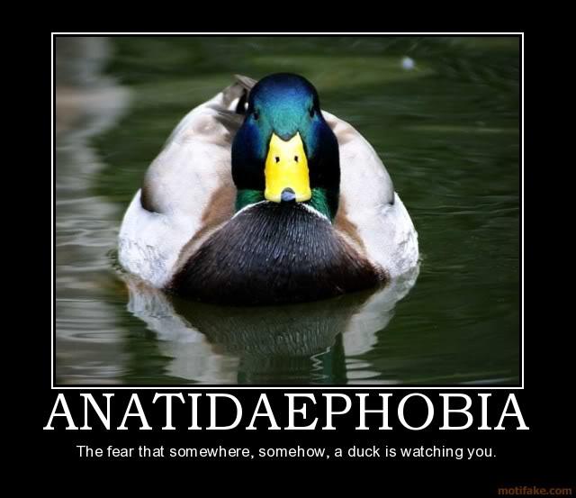 Anatidaephobia ir bailes no... Autors: aidzis06 Interesanti fakti!
