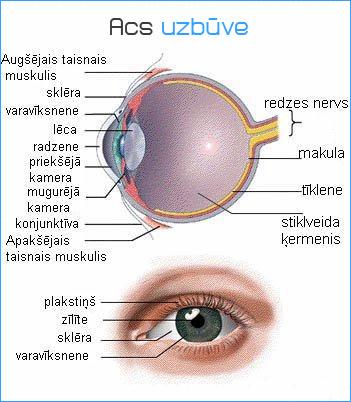  Autors: StealtH Heterochromia