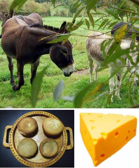 Ēzeļu piena siers ir pats... Autors: F31KS Palutini sevi ar sieru!