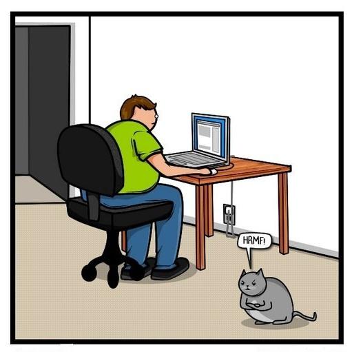  Autors: goidoll Kaķis pret internetu
