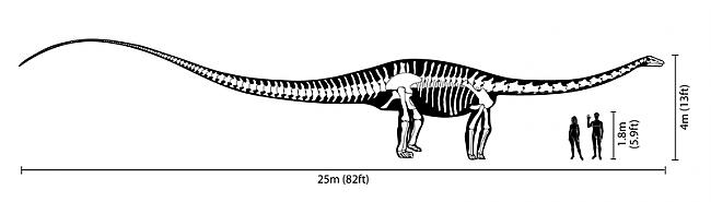 Garākais dinozaurs Garākais... Autors: SeReO Izmirušie dzīvnieki.