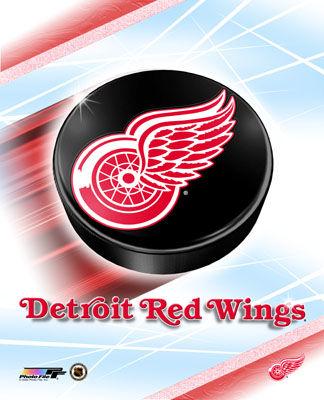 Detorit Red Wings Autors: Fosilija mana miljaka komanda