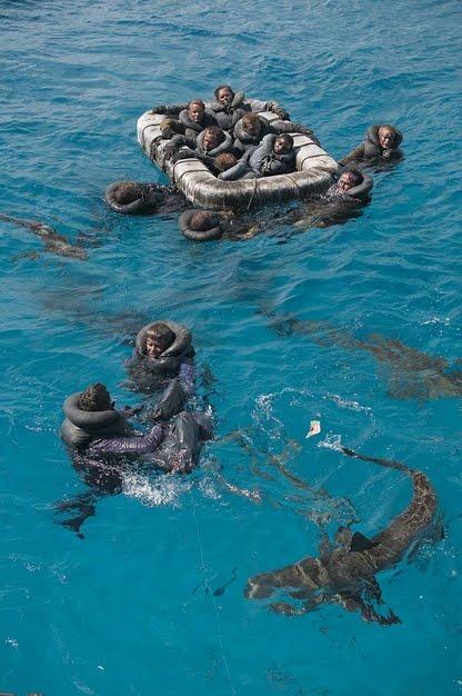 Nakts laikā daudzi mira no... Autors: keikei7 Visbriesmīgākais haizivju uzbrukums vēsturē?