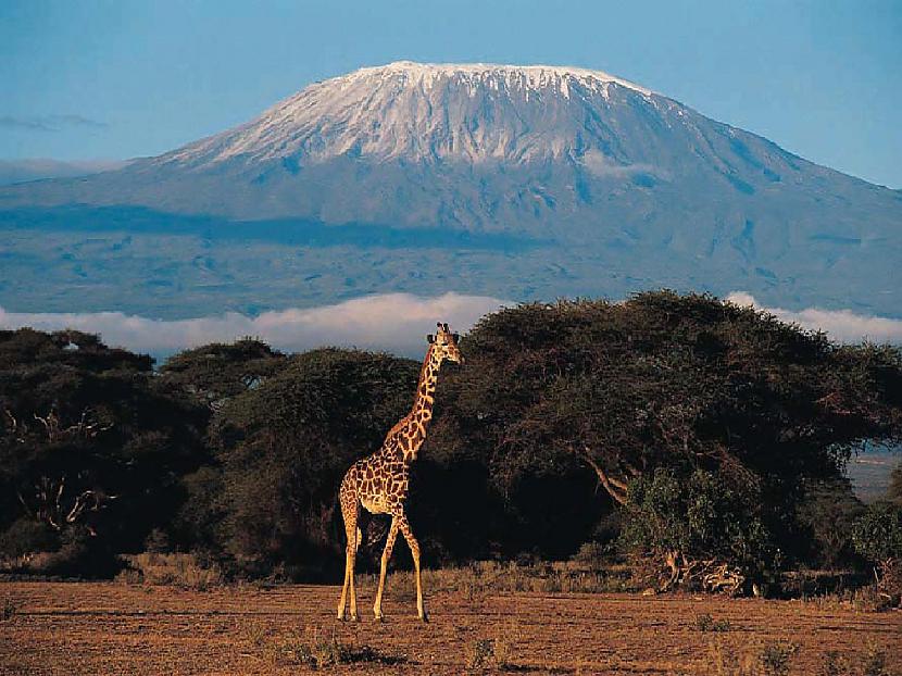 Kilimandžāro kalns Tanzānijā... Autors: zirdziniece Iespaidīgākie Unesco pasaules mantojuma objekti - TOP 10
