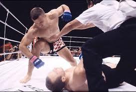  Autors: labais114 Cro Cop