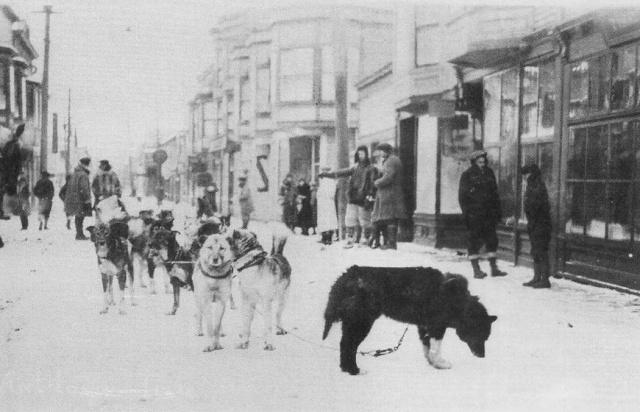 Balto vadītais pajūgs un Togo... Autors: Daquantrius Stāsts par Balto...