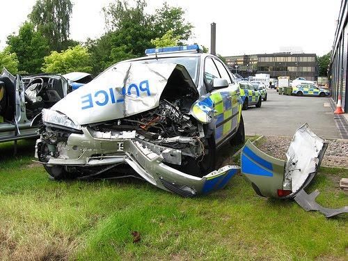  Autors: gribulis sasistie poliči