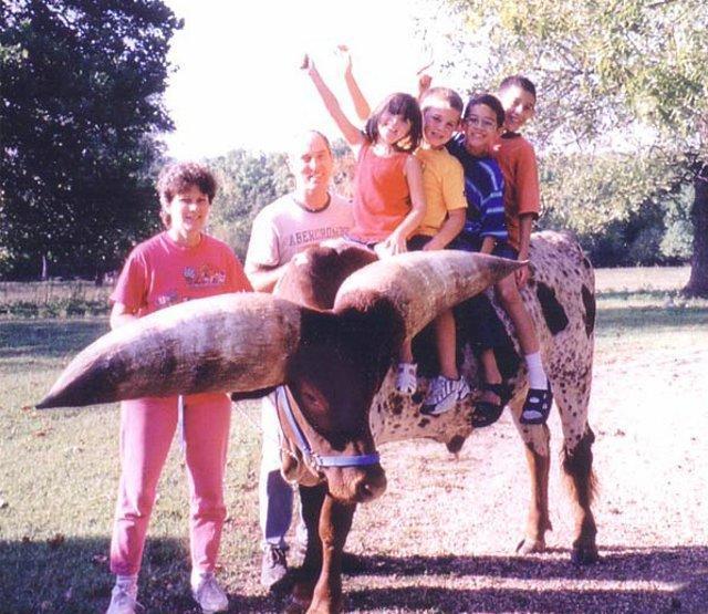 1998 gadā viņu pārveda uz... Autors: Optimists NaCl Bullis šokē zoologus...