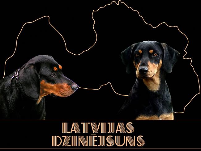 Latvijas dzinējsuns (1. daļa)