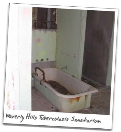  Autors: JackDaniel Waverly hills sanatorium .