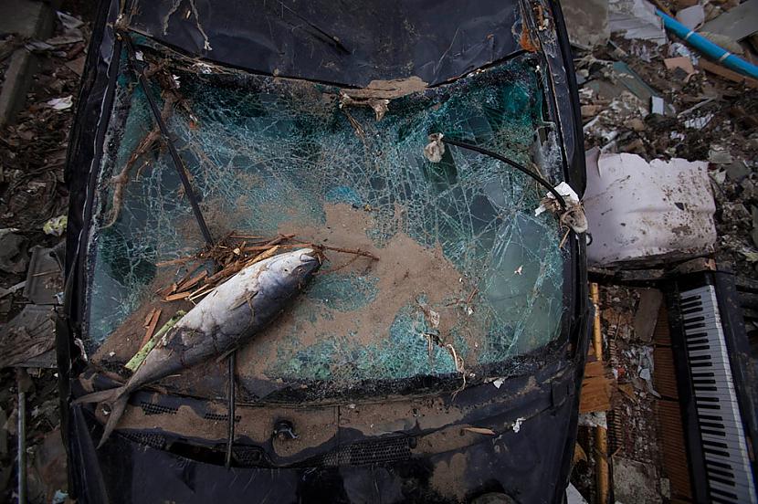 Beigta zivs uz beigtas mašīnas Autors: ekonomists Japāna divas nedēļas vēlāk