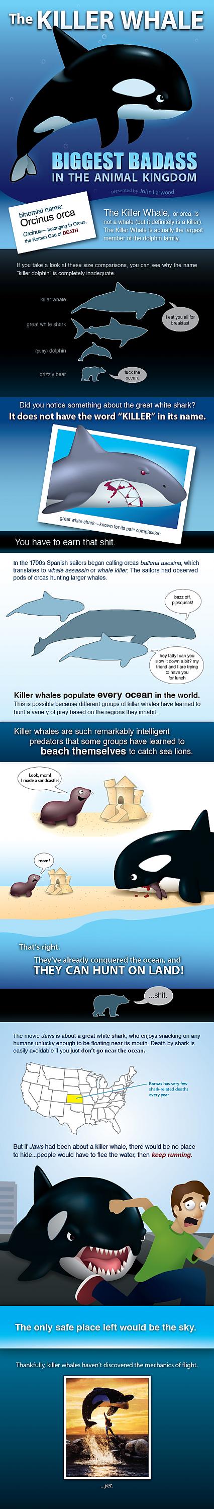  Autors: YOSLOWAG Killer Whale: Biggest Badass