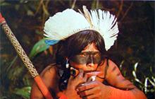  Autors: chinga Brazīlijas indiāņi rituālās ceremonijas laikā apēd ja