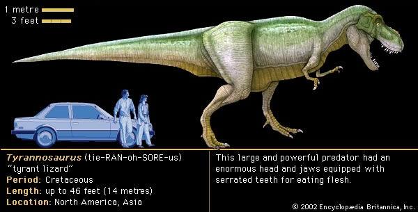 Tiranozaurs bija lielākais... Autors: Zilais Kamielis Dinozauri mūsu draugi. :D