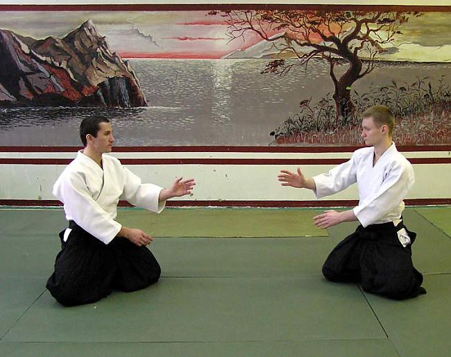 Aikido ir mūsdienu divcīņas... Autors: Shithappenz5 Cīņas mākslas.