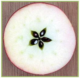 Džonijs Appleseed bija niks... Autors: robotxq9 18 fakti par āboliem!