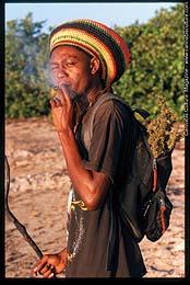  Autors: Tribal Jamaica!