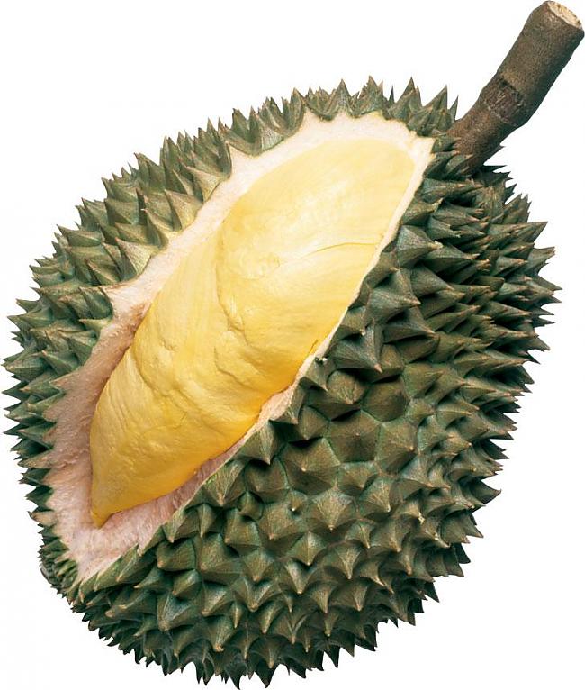 Auglis durians ir ļoti garšīgs... Autors: ML Neticami, bet fakts - 2