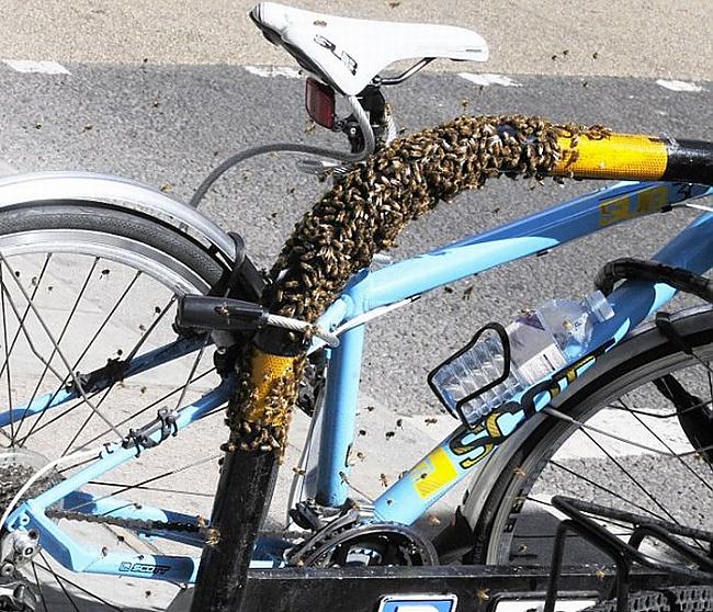  Autors: MJ Ekstrēms veids kā pasargāt savu velosipēdu no zagļiem!!
