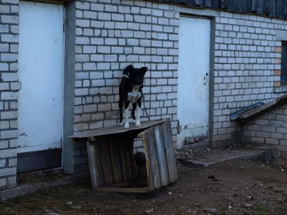 Vilnis Scaronliters2000 gada... Autors: Ādolfa kaķis Nežēlīgākie noziedznieki Latvijā.