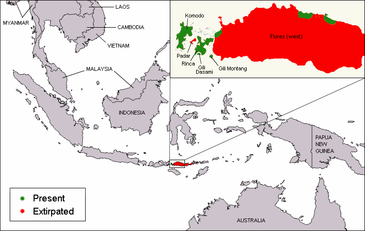  Autors: brothser1989 Komodo varāns