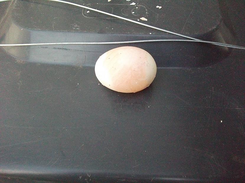 Tagad arī zinu kā izskatās ola... Autors: Fosilija Eksperiments: Ola bez čaumalas