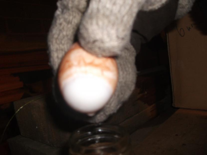 Nākamajā dienā olas čaumala... Autors: Fosilija Eksperiments: Ola bez čaumalas