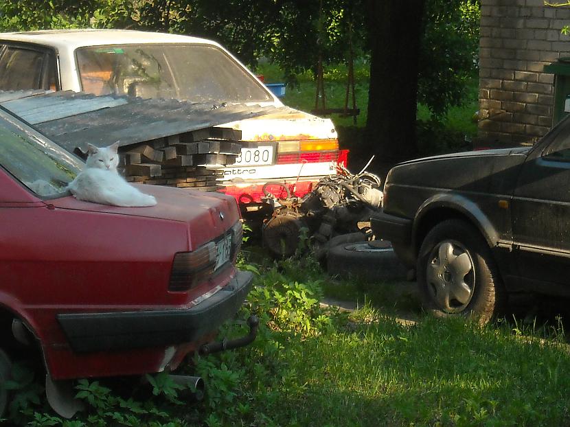  Autors: arturs1 Mazs Ziepniekalna auto ieskats.