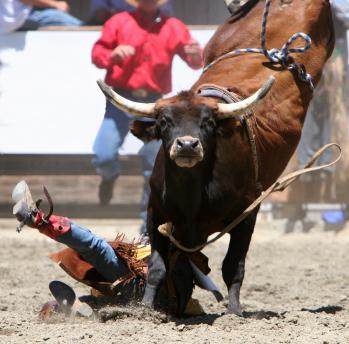 Rodeo Es domāju  ka šis ir... Autors: DN41 Traumatiskākie sporta veidi !!