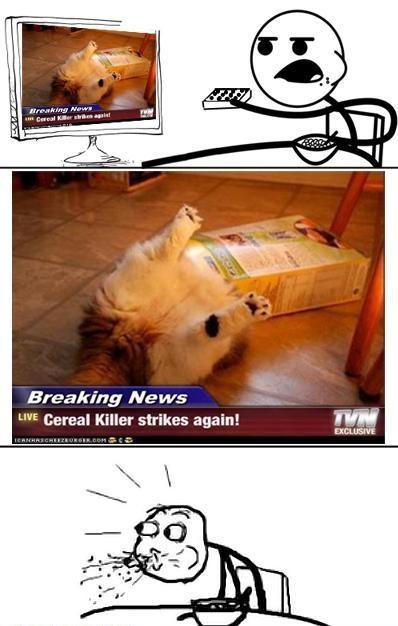  Autors: mynickname Cereal guy