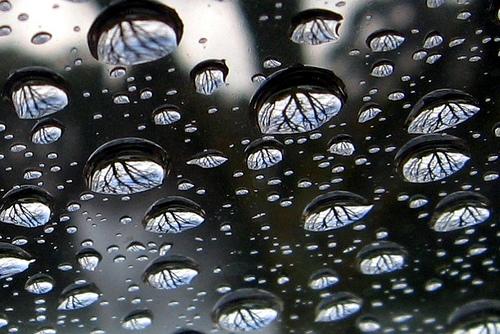Fotogrāfē lietus piles uz loga... Autors: Funkyasshit expectations/reality 2