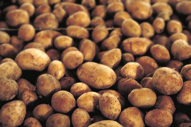 14 Kartupeļi vai Olas... Autors: Reverss Viens Vai otrs! [ainiss13]